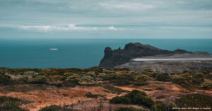 Read more about the article When Covid Stops Cancer Treatment (2/2)