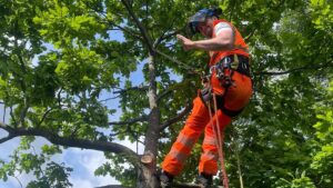 Music couldn’t fill the void