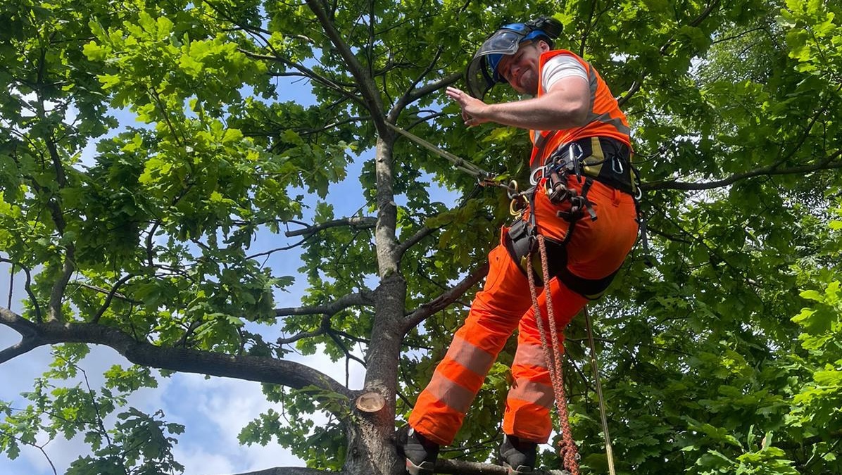 Read more about the article Music couldn’t fill the void